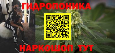 стаф Ливны