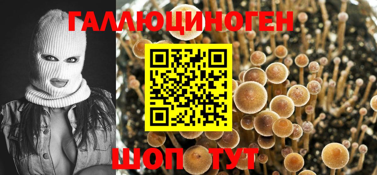 Галлюциногенные грибы ЛСД Спасск-Дальний