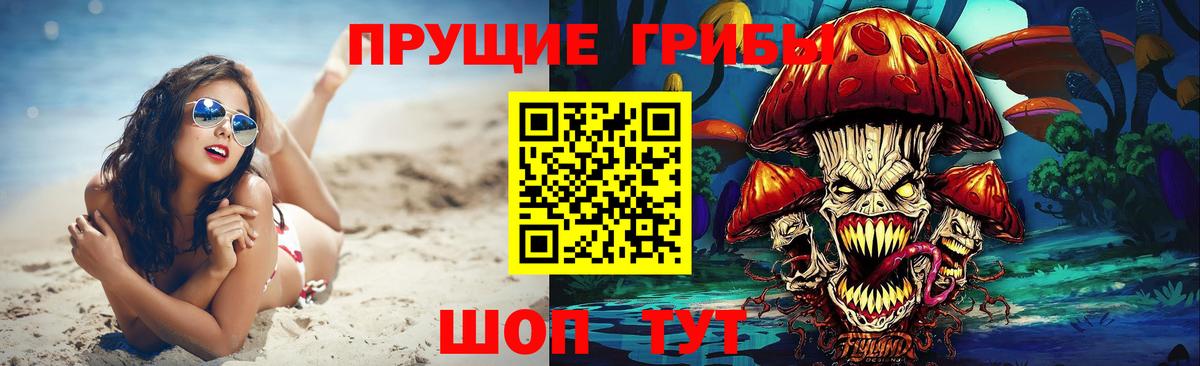 наркошоп  Вход с VPN  Спасск-Дальний  Псилоцибиновые грибы Psilocybine cubensis 